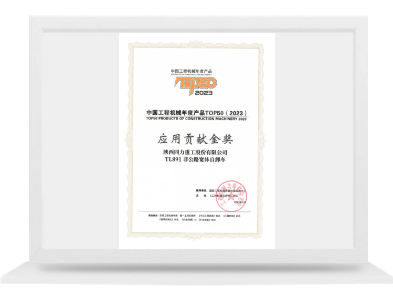 TL891应用孝顺金奖